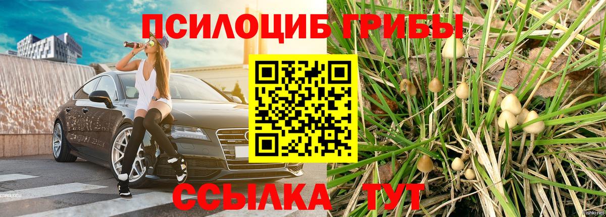 Галлюциногенные грибы ЛСД Усть-Джегута