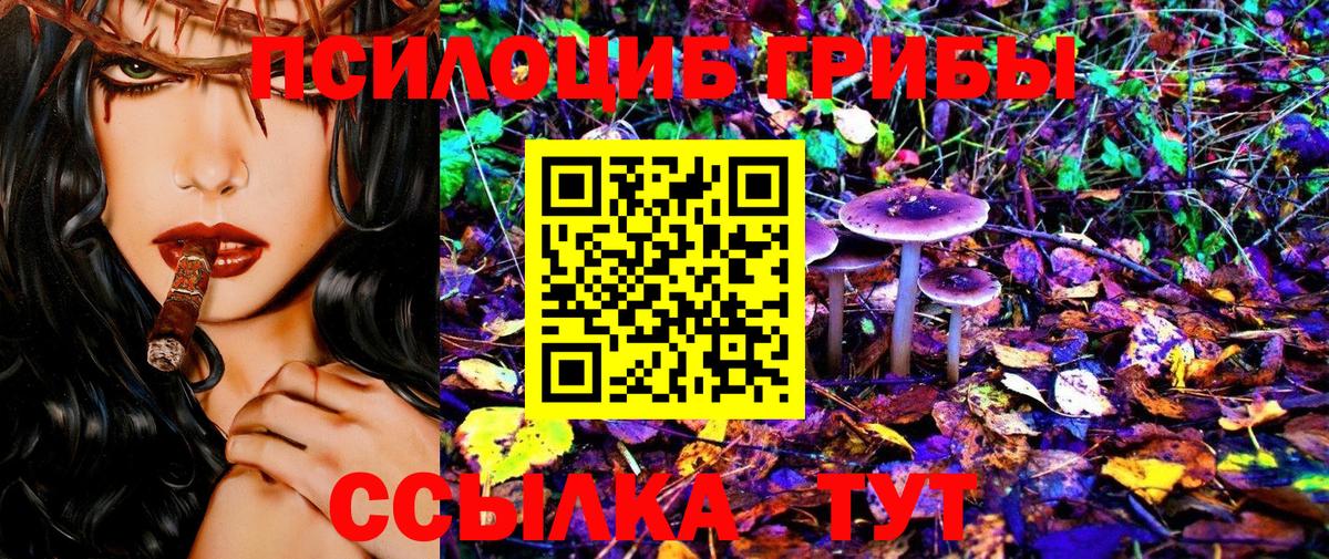 Усть-Джегута  Псилоцибиновые грибы Psilocybe  Галлюциногенные грибы GOLDEN TEACHER  хочу   Вход с VPN 